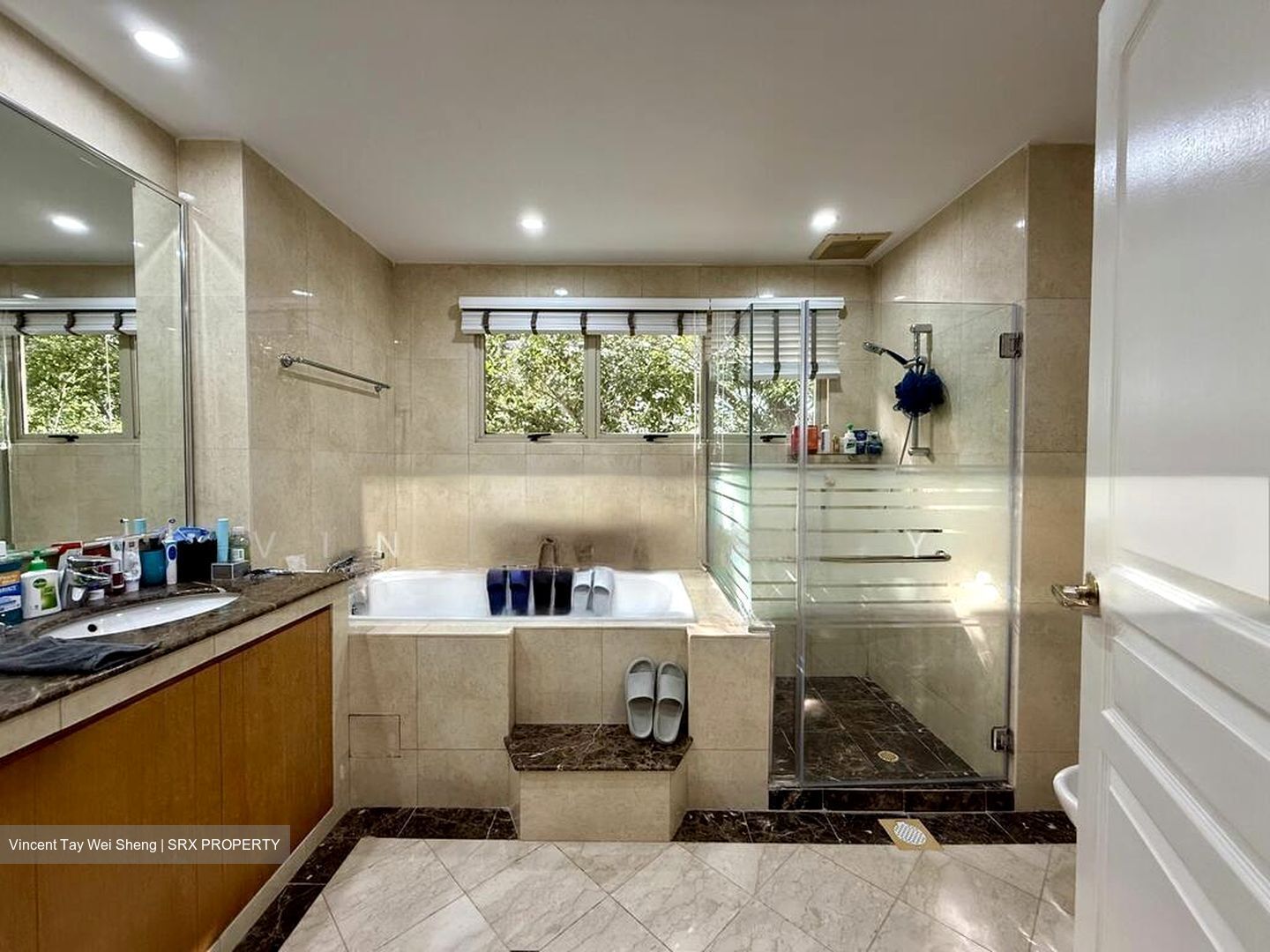 Stevens Road (D10), Condominium #577836141